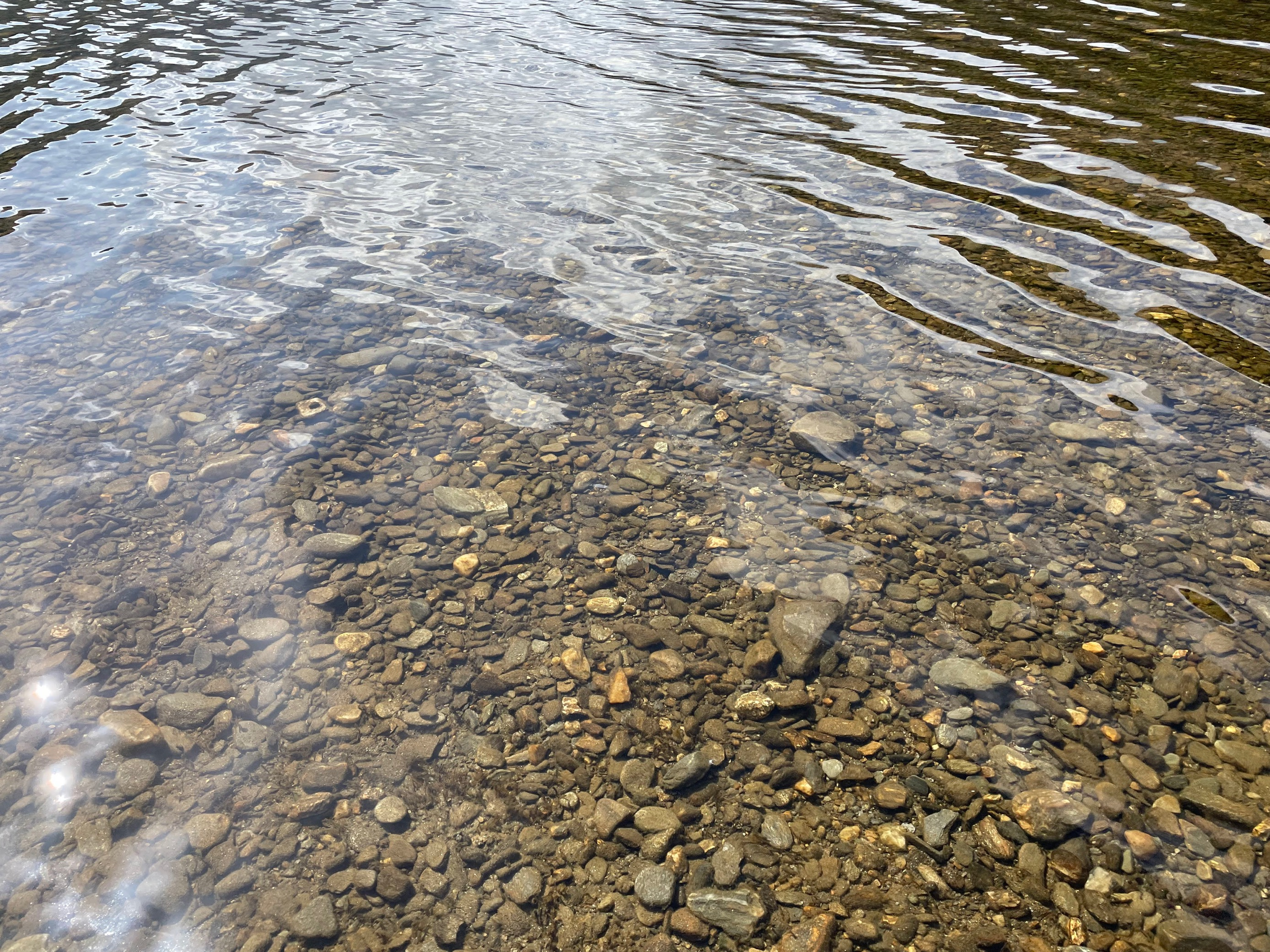 Pebbles Under Water